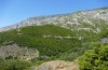 Poecilimon ikariensis: Habitat (Griechenland, Ikaria, westlich von Xilosirtis, 200m, Mitte Mai 2025) [N]