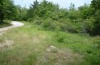Metrioptera kuntzeni: Habitat (Istrien, Ucka, Mitte Juli 2016) [N]