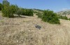 Platycleis macedonica: Habitat (Greece, Kozani, Livera, mid-July 2025) [N]