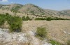 Platycleis macedonica: Habitat (Greece, Kozani, Livera, mid-July 2025) [N]
