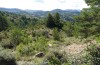 Synephippius oblongus: Habitat (Spanien, Pyrenäen, SW Boltona, 1200m, Mitte September 2021) [N]