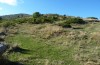 Uromenus rugosicollis: Habitat in the east Pyrenees (Tour de Batère) in 1400m asl in mid-October 2013. [N]