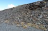 Baetica ustulata: Habitat (Spain, Andalusia, Sierra Nevada, 2600m, late September 2017) [N]