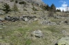 Zygaena brizae: Larvalhabitat in den Alpes maritimes in 1600m NN: Weiden mit Cirsium eriophorum, 29.04.2012. [N]