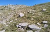 Jordanita chloros: Habitat (N-Greece, Tymfi, Astraka, 2000m, late July 2025) [N]