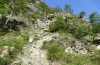 Adscita dujardini: Habitat (Switzerland, Valais, Stalden, 29. May 2023) [N]