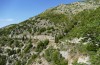 Zygaena ephialtes: Habitat (Greece, Lefkada, June 2021) [N]