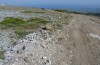 Adscita graeca: Larvalhabitat (Samos, Karvouni, 1100m, Ende Mai 2014) [N]
