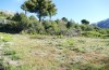 Adscita jordani: Habitat with Rumex acetosella agg. (Central Spain, Avila, Sierra de Gredos, Cuevas del Valle, late April 2024) [N]