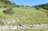 Adscita jordani: Habitat with Rumex acetosella agg. (Central Spain, Avila, Sierra de Gredos, Cuevas del Valle, late April 2024) [N]