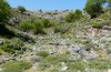 Jordanita notata: Habitat (Crete, southern coast, 02. May 2013) [N]