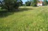 Zygaena trifolii: Habitat (S-Germany, Mainhardt, July 2010) [N]